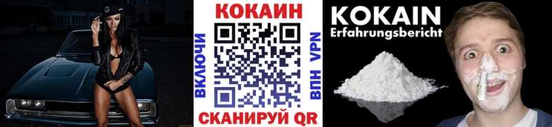 Купить  Новосиль  COCAIN Fish Scale 