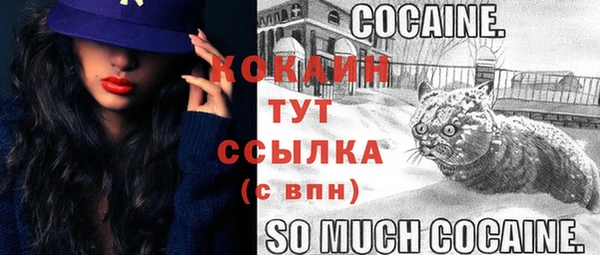 мяу мяу мука Лабытнанги
