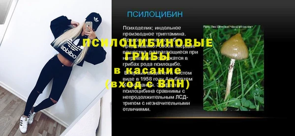 а пвп мука Кукмор