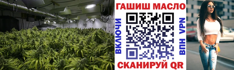 Купить где  Новосиль  ТГК Wax 