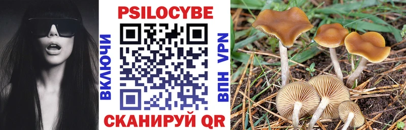 Галлюциногенные грибы Magic Shrooms  Купить закладки  Новосиль 